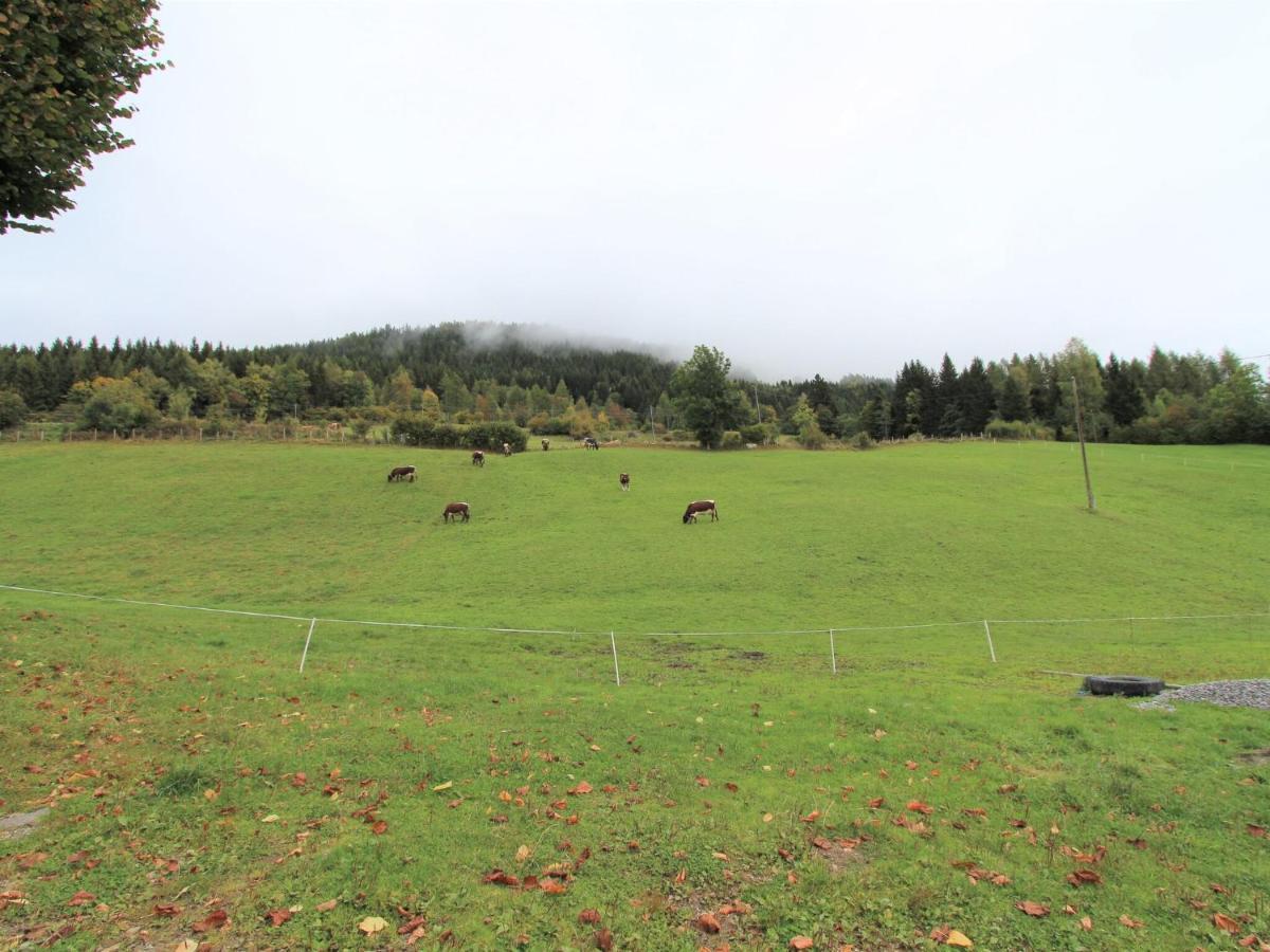 Beautiful Holiday Apartment In A Renovated Farmhouse In Fresach Carinthia Esterno foto